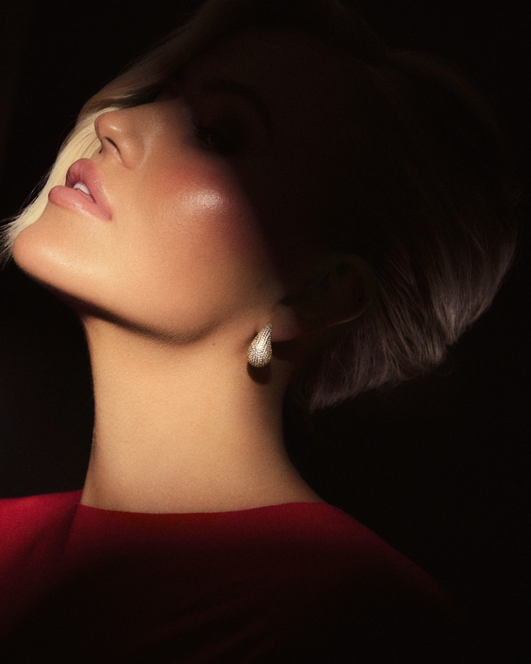 The Gia earrings - gold plated